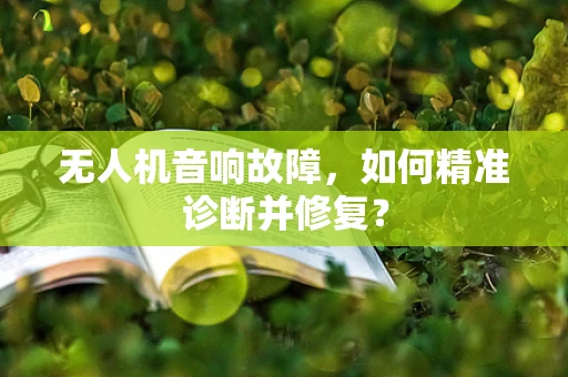 无人机音响故障，如何精准诊断并修复？