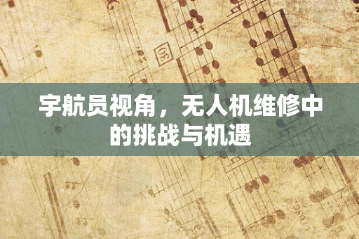 宇航员视角，无人机维修中的挑战与机遇