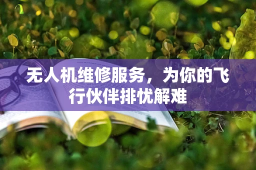 无人机维修服务，为你的飞行伙伴排忧解难