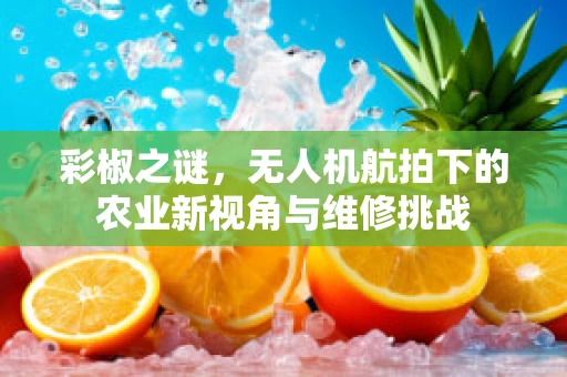 彩椒之谜，无人机航拍下的农业新视角与维修挑战