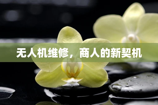 无人机维修，商人的新契机