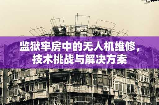 监狱牢房中的无人机维修，技术挑战与解决方案