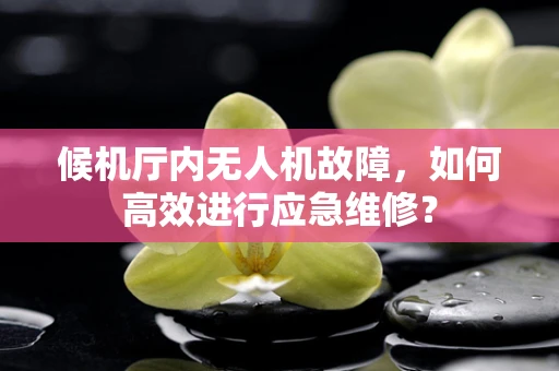候机厅内无人机故障，如何高效进行应急维修？