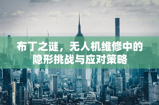布丁之谜，无人机维修中的隐形挑战与应对策略