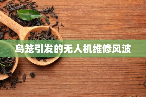 鸟笼引发的无人机维修风波