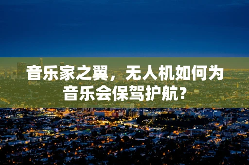 音乐家之翼，无人机如何为音乐会保驾护航？