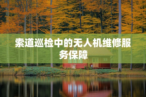 索道巡检中的无人机维修服务保障