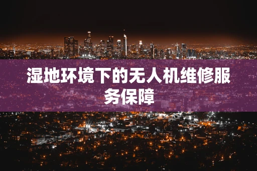 湿地环境下的无人机维修服务保障
