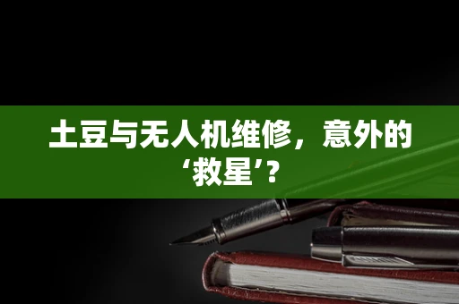 土豆与无人机维修，意外的‘救星’？