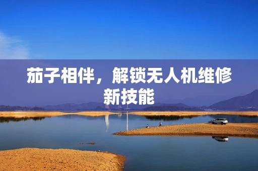 茄子相伴，解锁无人机维修新技能