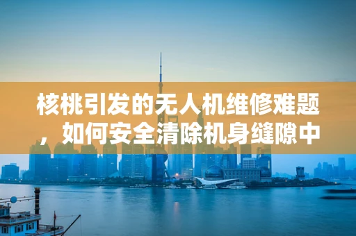 核桃引发的无人机维修难题，如何安全清除机身缝隙中的顽固物？