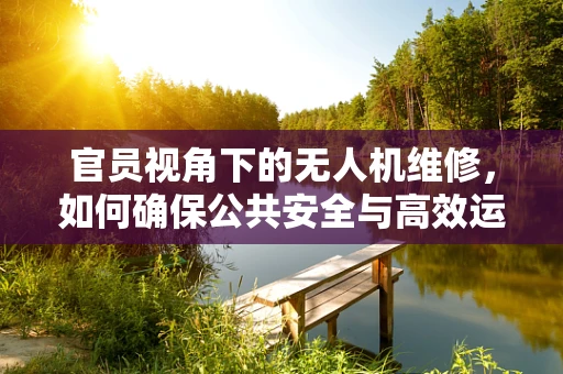 官员视角下的无人机维修，如何确保公共安全与高效运维？