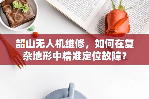 韶山无人机维修，如何在复杂地形中精准定位故障？