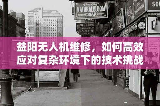 益阳无人机维修，如何高效应对复杂环境下的技术挑战？
