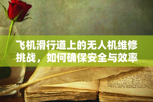 飞机滑行道上的无人机维修挑战，如何确保安全与效率？