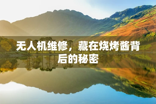 无人机维修，藏在烧烤酱背后的秘密