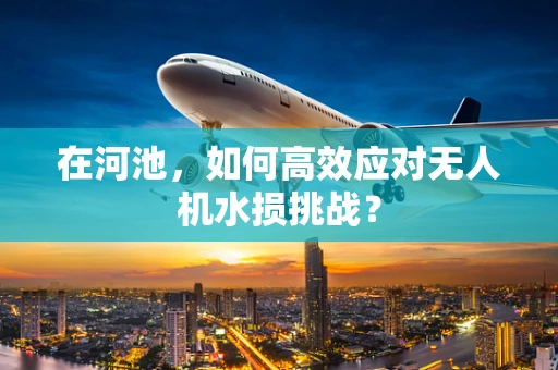 在河池，如何高效应对无人机水损挑战？