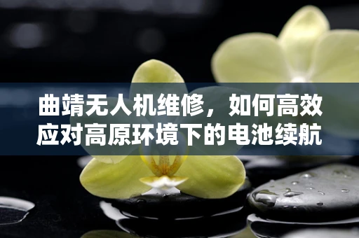 曲靖无人机维修，如何高效应对高原环境下的电池续航挑战？