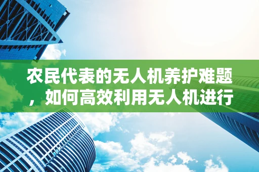农民代表的无人机养护难题，如何高效利用无人机进行精准农业？