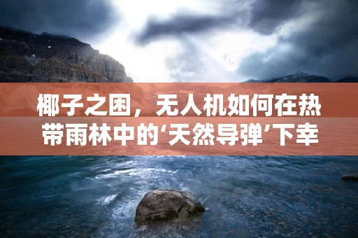 椰子之困，无人机如何在热带雨林中的‘天然导弹’下幸存？