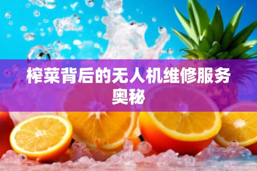 榨菜背后的无人机维修服务奥秘