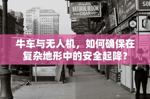 牛车与无人机，如何确保在复杂地形中的安全起降？