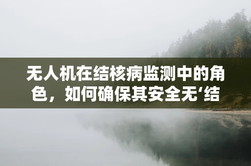 无人机在结核病监测中的角色，如何确保其安全无‘结核’？