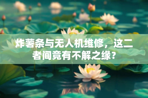 炸薯条与无人机维修，这二者间竟有不解之缘？