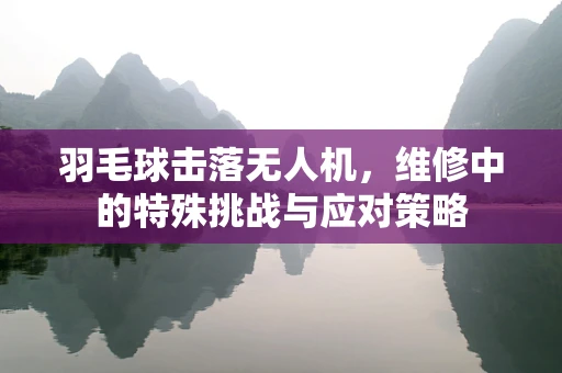 羽毛球击落无人机，维修中的特殊挑战与应对策略
