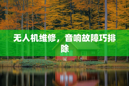 无人机维修，音响故障巧排除