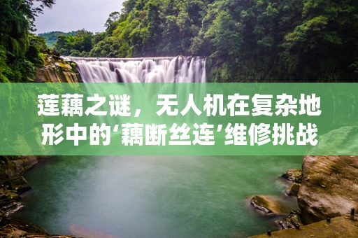 莲藕之谜，无人机在复杂地形中的‘藕断丝连’维修挑战
