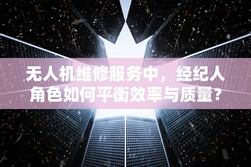 无人机维修服务中，经纪人角色如何平衡效率与质量？