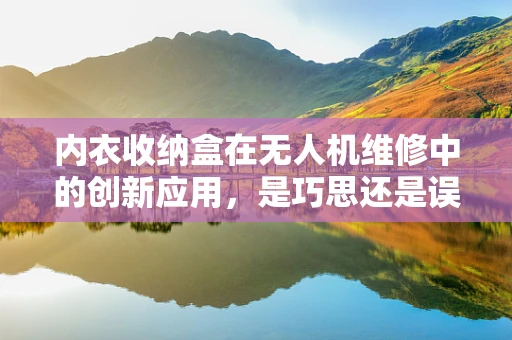 内衣收纳盒在无人机维修中的创新应用，是巧思还是误用？