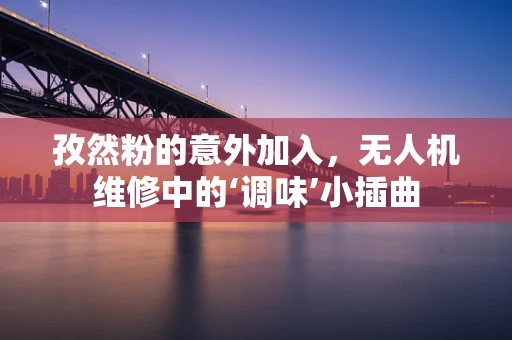 孜然粉的意外加入，无人机维修中的‘调味’小插曲