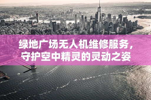 绿地广场无人机维修服务，守护空中精灵的灵动之姿