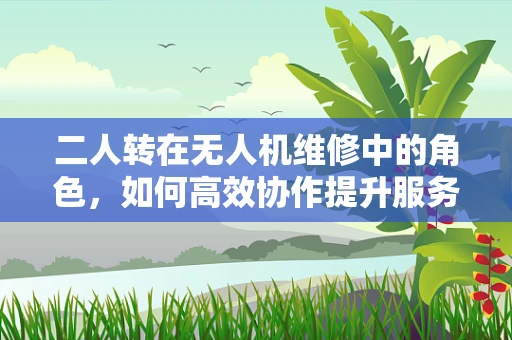 二人转在无人机维修中的角色，如何高效协作提升服务效率？