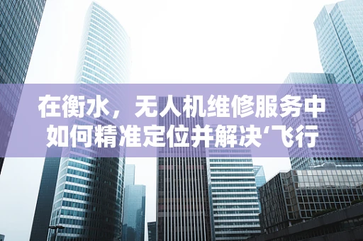 在衡水，无人机维修服务中如何精准定位并解决‘飞行不稳定’的难题？