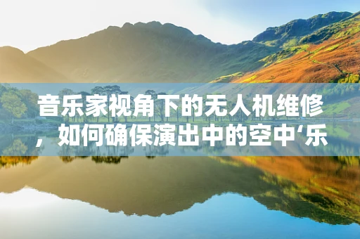 音乐家视角下的无人机维修，如何确保演出中的空中‘乐章’完美无缺？