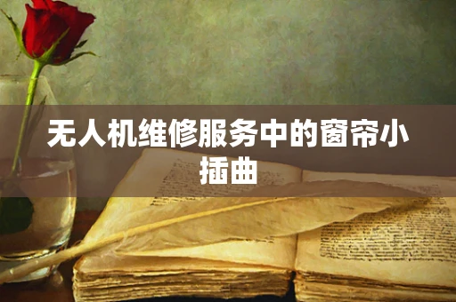 无人机维修服务中的窗帘小插曲