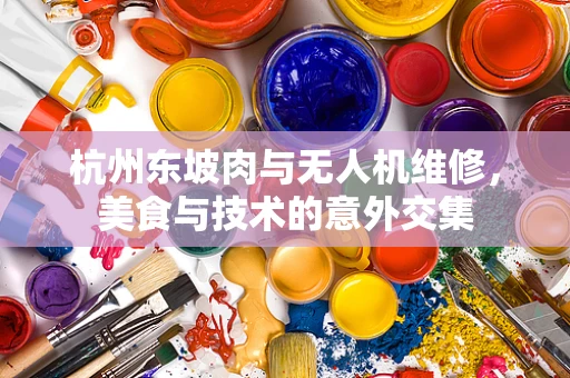 杭州东坡肉与无人机维修，美食与技术的意外交集