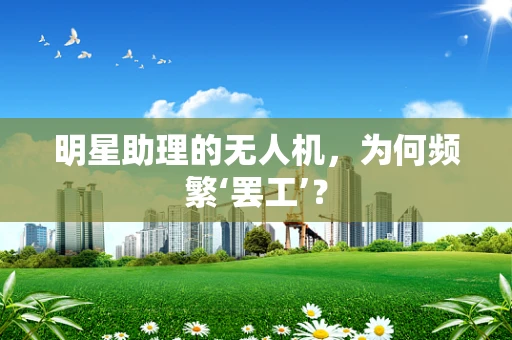 明星助理的无人机，为何频繁‘罢工’？