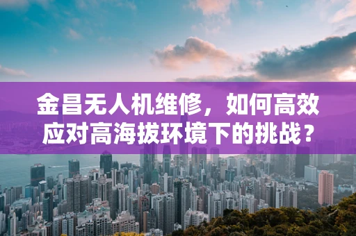 金昌无人机维修，如何高效应对高海拔环境下的挑战？