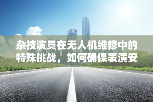 杂技演员在无人机维修中的特殊挑战，如何确保表演安全与精准？