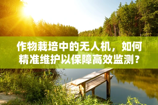 作物栽培中的无人机，如何精准维护以保障高效监测？
