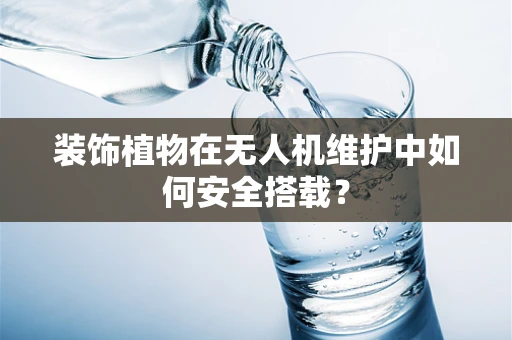 装饰植物在无人机维护中如何安全搭载？