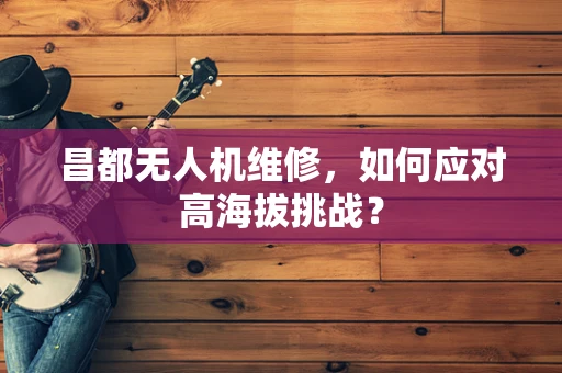 昌都无人机维修，如何应对高海拔挑战？