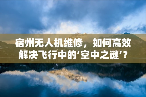 宿州无人机维修，如何高效解决飞行中的‘空中之谜’？