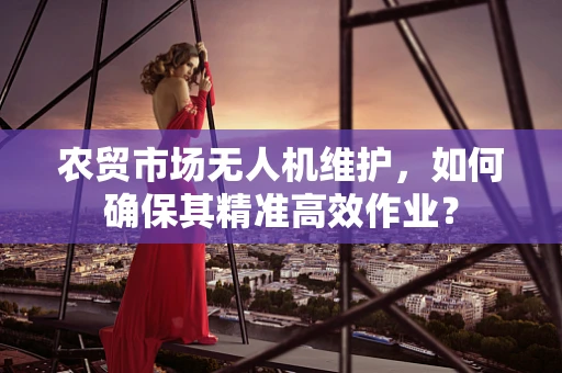 农贸市场无人机维护，如何确保其精准高效作业？