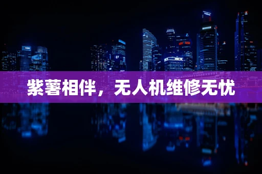 紫薯相伴，无人机维修无忧