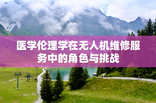 医学伦理学在无人机维修服务中的角色与挑战